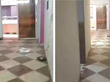 عقارات للإيجار في طريق كعبيش، فيصل، 140 متر