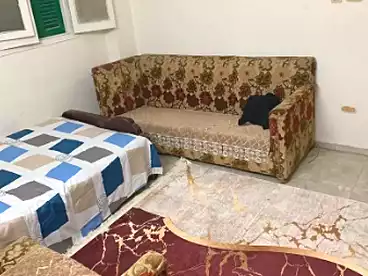 شقق مفروشة للإيجار في شارع الجامعة، مدينة الزقايق، 110 متر