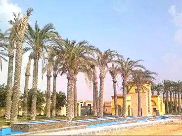 شقق للبيع في كمبوند نيست كايرو - شمال أفريقيا، كمبوند بالتجمع الخامس، 140 متر
