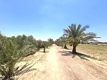 Farm For sale in Wadi El Natrun, Beheira, 114000 sqm