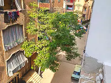 شقق للبيع في الدواجن، حدائق حلوان، 160 متر