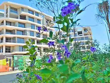 Apartments For sale in Armonia Compound - TLD, R7, 190 sqm