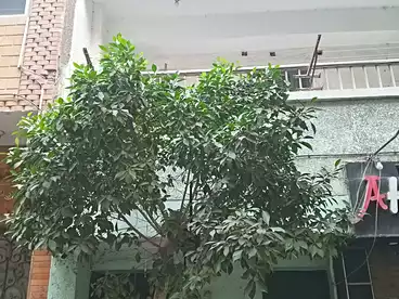 Building For sale in Mansheyat El Tahrir, Ain Shams, 90 sqm
