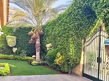 فلل للبيع في شارع العيادة القديمة، البيطاش، 310 متر