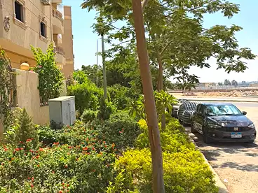 في الحي السادس عشر، الشيخ زايد، 160 متر
