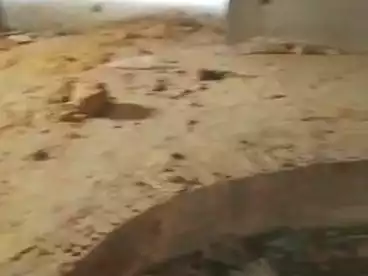 للبيع في شارع عمر مكرم، النرجس 8، 425 متر