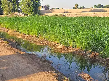 Farm For sale in El Barajil, Ausim, 200 sqm