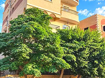 عقارات للبيع في مجاورة 5، 15 مايو، 226 متر