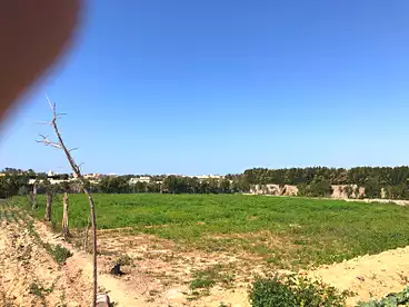 Land For sale in El-Bahira St, Borg El Arab, 4725 sqm