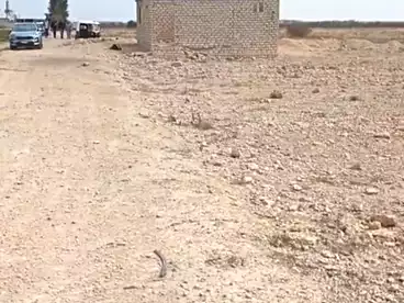 Farm For rent in El Yasha Village, New Nubariya, 21000 sqm