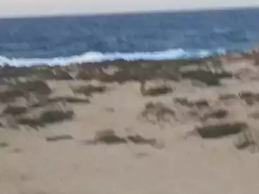 أرض مباني سكنية للبيع في شارع علم الروم، مدينة مرسى مطروح، 1050 متر