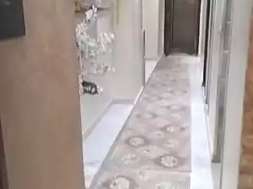 شقق للبيع في شارع سيد أبو النجا، النعام، 120 متر