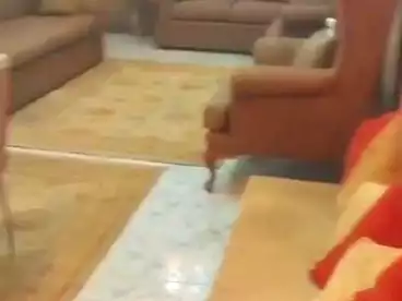 شقق للبيع في شارع حسن محمد، فيصل، 100 متر