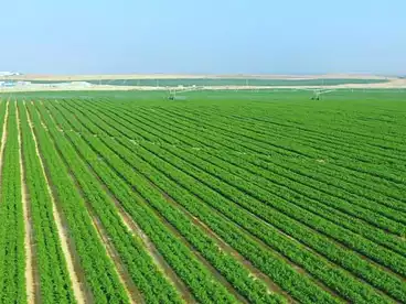 أرض زراعية للبيع في الجعار، وادي النطرون، 8120 متر