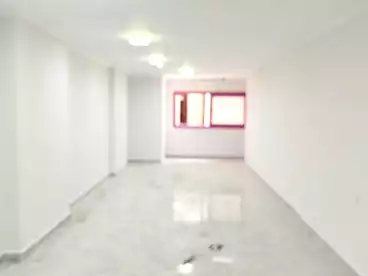 Properties For rent in Camp Cesar, Alexandria, 300 sqm