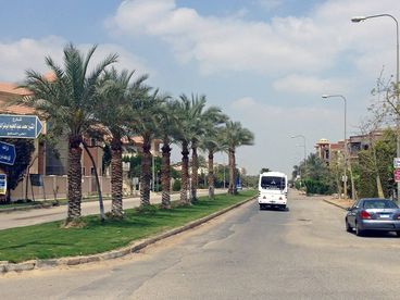 Seventh Neighborhood