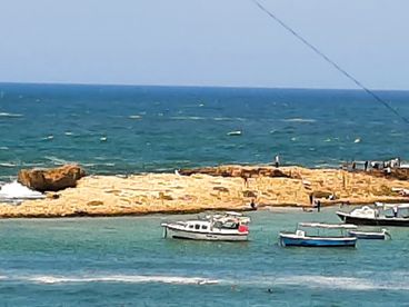 listing-image