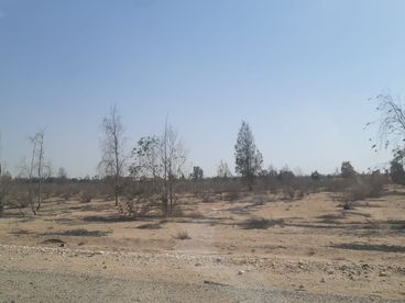 listing-image