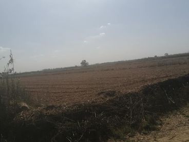 listing-image
