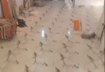 شقه للبيع في العجمي الهانوفيل