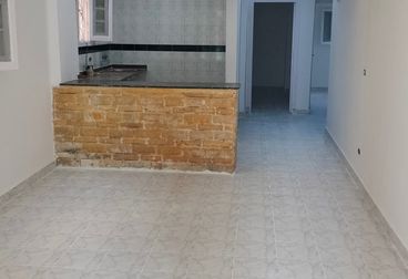 شقه 90م للبيع في العجمي الكيلو 21 شاطئ النخيل