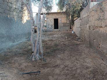 listing-image