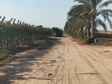 listing-image