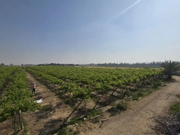 listing-image