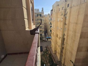 listing-image