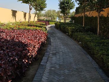 listing-image
