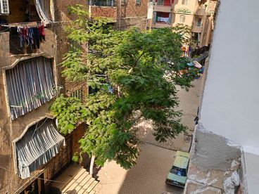 listing-image