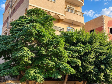 listing-image