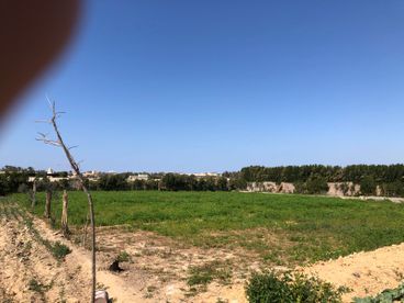 listing-image