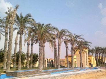 ready to move Garden Apartment for Sale in Nest Cairo – Katameya Gardens