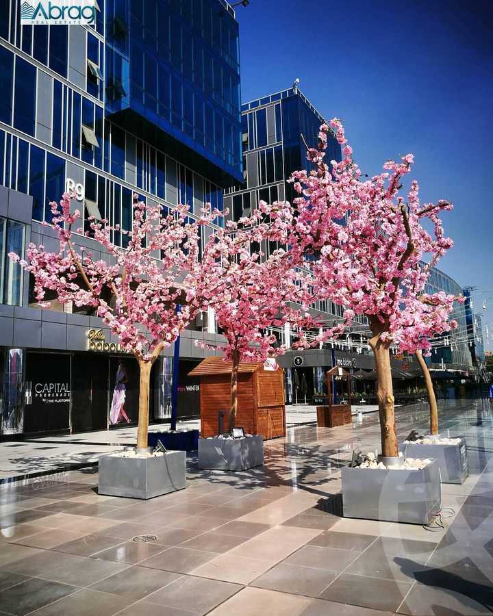 https://aqarmap.com.eg/en/listing/5443881-for-sale-cairo-el-sheikh-zayed-city-compounds-capital-business-park
