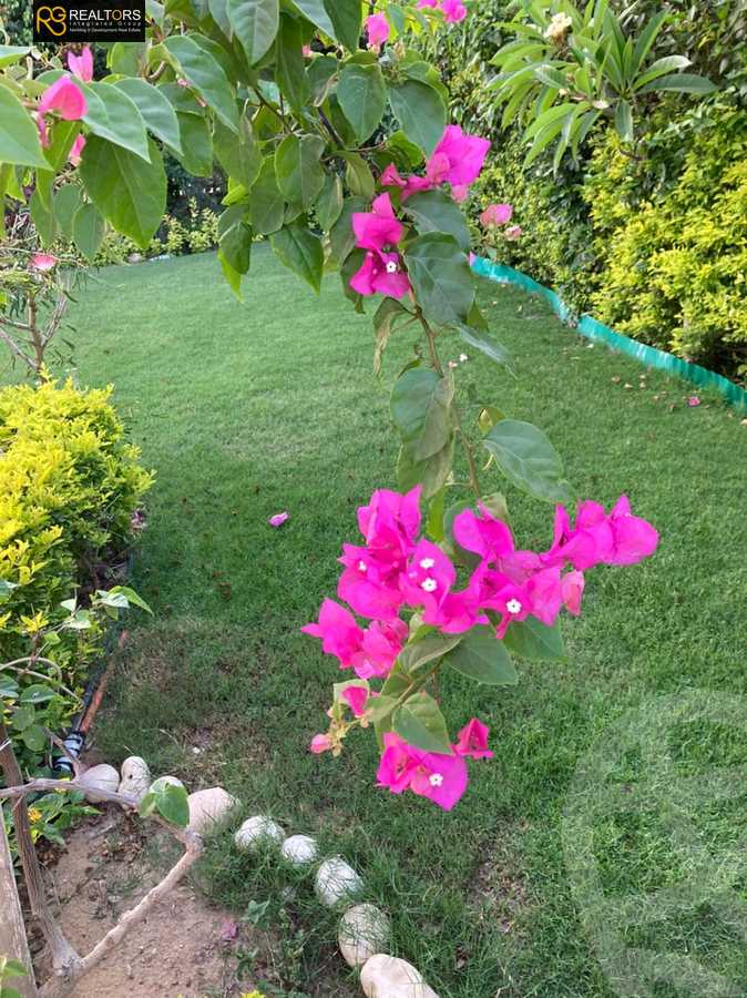https://aqarmap.com.eg/ar/listing/3621148-for-sale-cairo-el-sheikh-zayed-city-compounds-greens