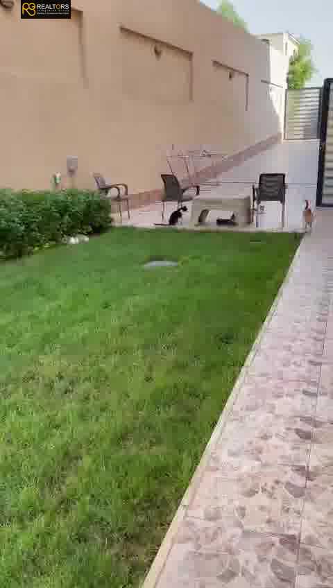 https://aqarmap.com.eg/ar/listing/3801224-for-sale-cairo-el-sheikh-zayed-city-el-hay-eltaseaa-area-3