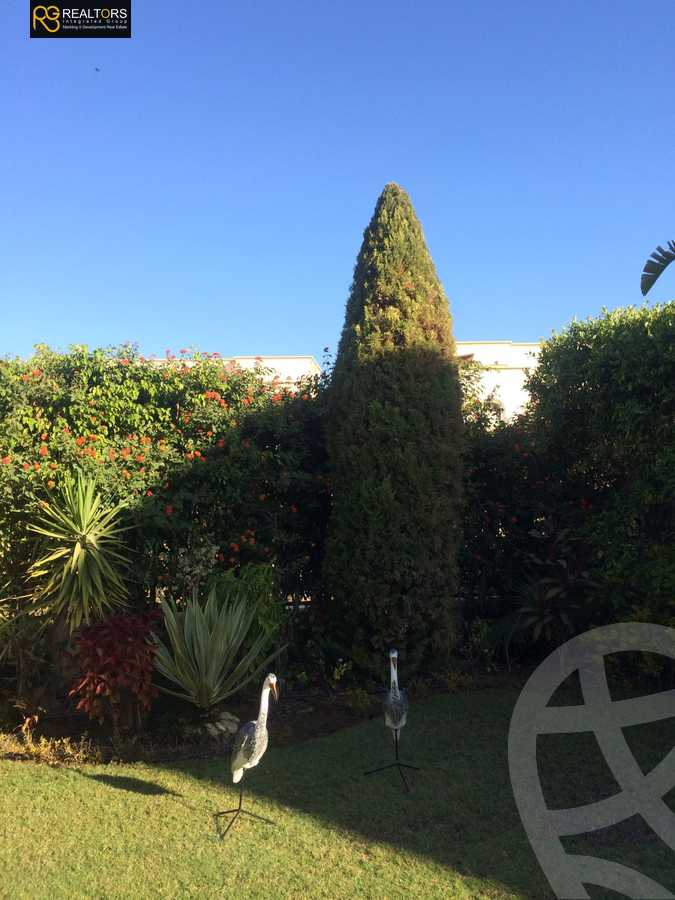 https://aqarmap.com.eg/ar/listing/3841644-for-rent-cairo-el-sheikh-zayed-city-compounds-greens