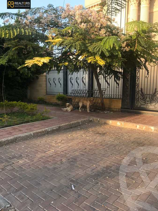 https://aqarmap.com.eg/ar/listing/3877273-for-sale-cairo-6th-of-october-compound-mena-garden-city