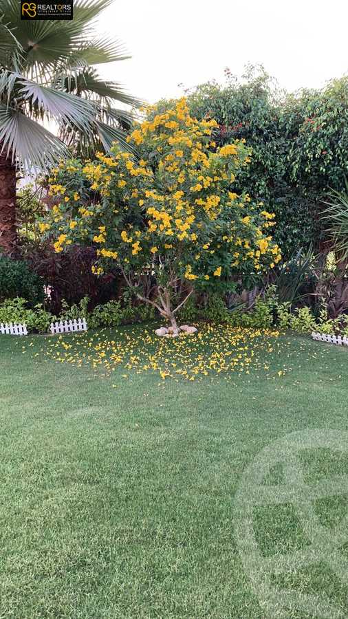 https://aqarmap.com.eg/ar/listing/3881777-for-rent-cairo-el-sheikh-zayed-city-compounds-greens