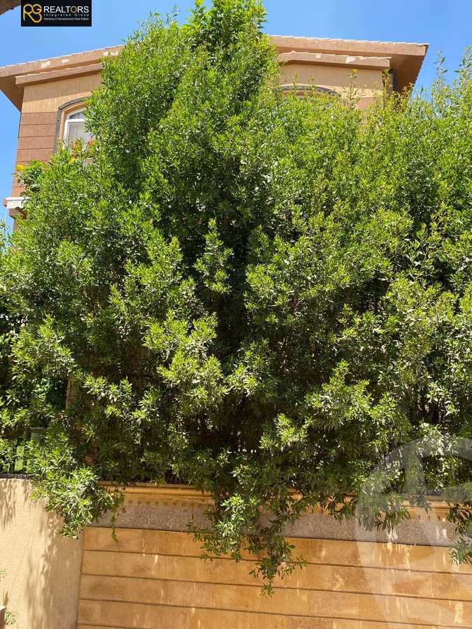 https://aqarmap.com.eg/ar/listing/4074513-for-sale-cairo-el-sheikh-zayed-city-compounds-in-sheikh-zayed-pyramids-walk