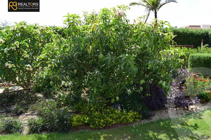 https://aqarmap.com.eg/en/listing/4085418-for-sale-cairo-alex-cairo-desert-road-evergreen-compound-pyramids
