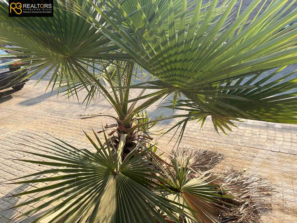 https://aqarmap.com.eg/ar/listing/4172905-for-sale-cairo-6th-of-october-compound-rihana