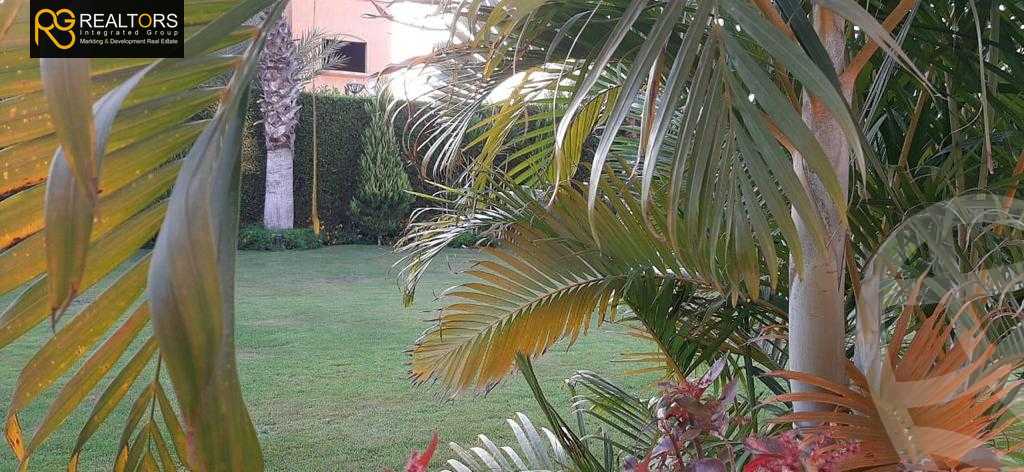 https://aqarmap.com.eg/en/listing/4237829-for-sale-cairo-alex-cairo-desert-road-wdy-lnkhyl