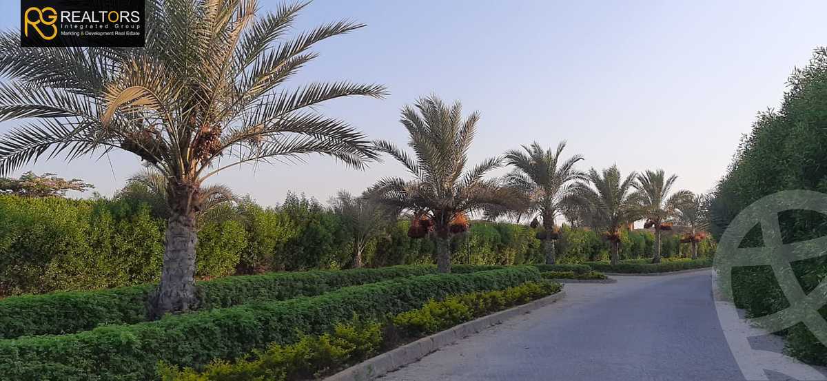 https://aqarmap.com.eg/en/listing/4237829-for-sale-cairo-alex-cairo-desert-road-wdy-lnkhyl