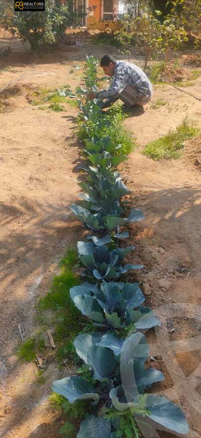 https://aqarmap.com.eg/ar/listing/4760330-for-sale-cairo-alex-cairo-desert-road-mdyn-sfnks-ljdyd-stella-di-mare-farms
