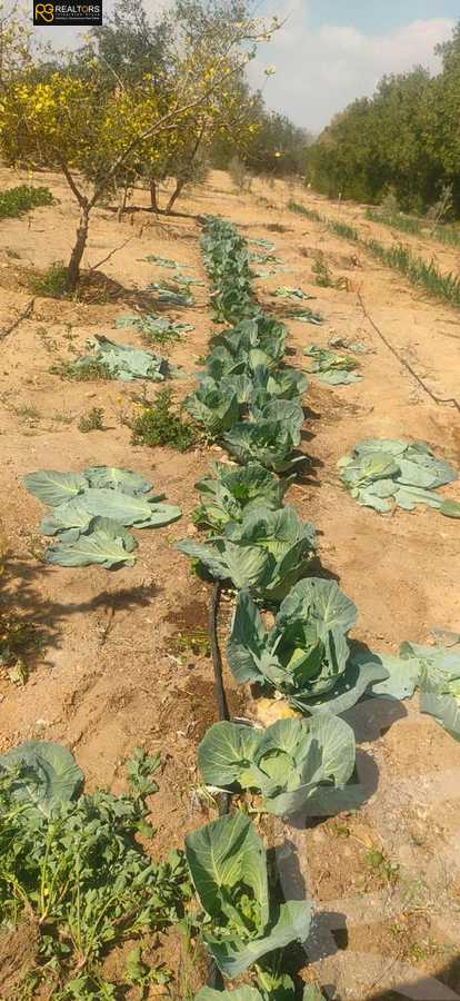 https://aqarmap.com.eg/ar/listing/4760330-for-sale-cairo-alex-cairo-desert-road-mdyn-sfnks-ljdyd-stella-di-mare-farms
