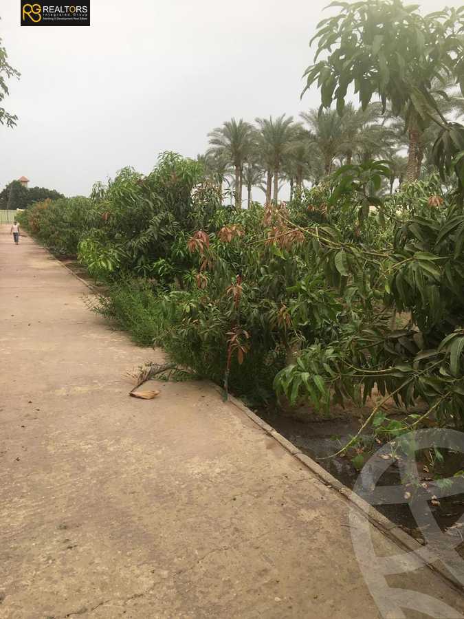 https://aqarmap.com.eg/en/listing/5004767-for-sale-cairo-el-mansuriyyah-palm-crest-compound