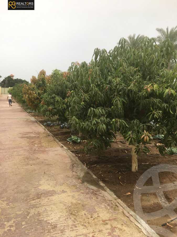 https://aqarmap.com.eg/en/listing/5004767-for-sale-cairo-el-mansuriyyah-palm-crest-compound