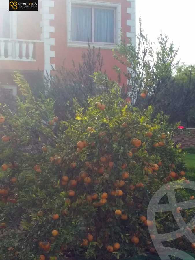 https://aqarmap.com.eg/en/listing/5221411-for-sale-cairo-el-sheikh-zayed-city-alex-cairo-desert-road-mdyn-sfnks-ljdyd-stella-di-mare-farms